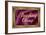 F*cking Classy Purple Faux Frame Art Poster Print-null-Framed Poster