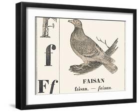 F for Pheasant, 1850 (Engraving)-Louis Simon (1810-1870) Lassalle-Framed Giclee Print