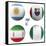 F Group of the World Cup-croreja-Framed Stretched Canvas