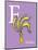 F is for Feather (purple)-Theodor (Dr. Seuss) Geisel-Mounted Art Print