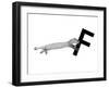 F is for Ferret-Stacy Hsu-Framed Art Print