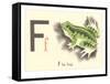 F is for Frog-null-Framed Stretched Canvas