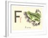 F is for Frog-null-Framed Art Print