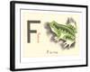 F is for Frog-null-Framed Art Print