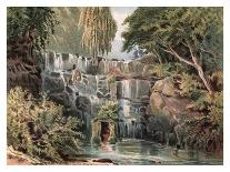 Long Walk, Windsor Park, 1880-F Jones-Giclee Print