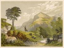 Scottish Highland Moor Scene with a Stag Set Against Majestic Hills-F. Lydon-Mounted Photographic Print