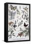 Canvas Black