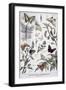 Black Frame