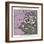Brown Frame