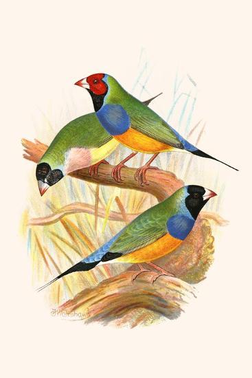 Art Print, , large
