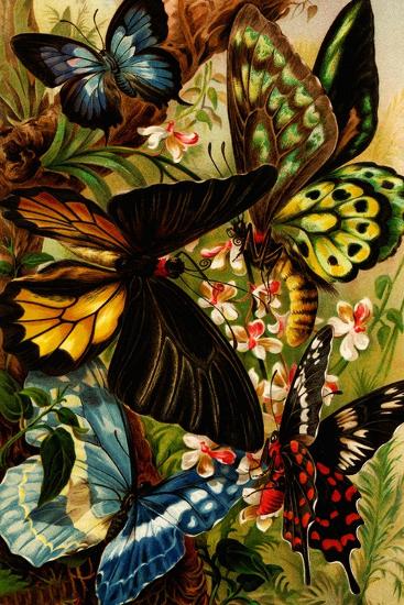 Art Print, , large
