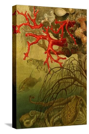 Stretched Canvas Print, , large