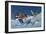 F4U Corsair Aircraft and Japanese Nakajima Fighter Planes in Aerial Combat-null-Framed Premium Giclee Print