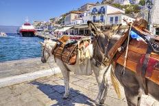 Donkeys on Greek Island-f8grapher-Photographic Print