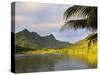 Faaroa Bay and Mount Oropiro, Raiatea, French Polynesia, South Pacific Ocean, Pacific-Jochen Schlenker-Stretched Canvas