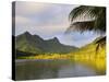 Faaroa Bay and Mount Oropiro, Raiatea, French Polynesia, South Pacific Ocean, Pacific-Jochen Schlenker-Stretched Canvas