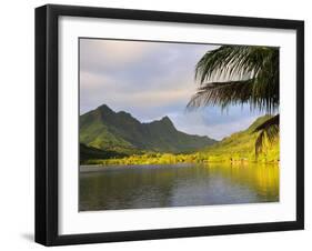 Faaroa Bay and Mount Oropiro, Raiatea, French Polynesia, South Pacific Ocean, Pacific-Jochen Schlenker-Framed Photographic Print