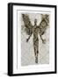 Fab 2A-Teofilo Olivieri-Framed Giclee Print