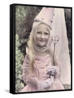 Fab Fairytale-Gail Goodwin-Framed Stretched Canvas