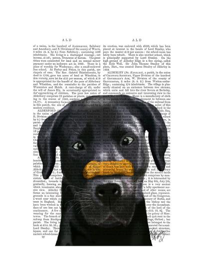 Art Print, , large