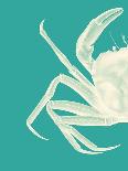 Contrasting Crab in Turquoise b-Fab Funky-Framed Art Print