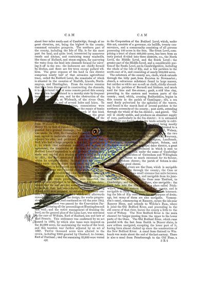Art Print, , large
