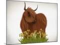 Wood Mount
