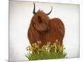 Wood Mount