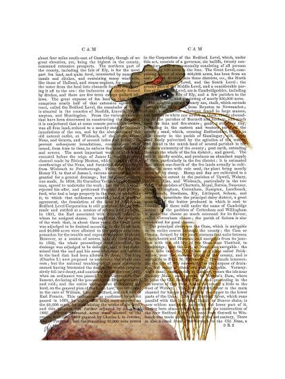 Art Print, , large