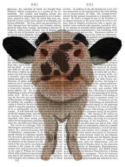 Art Print, , large