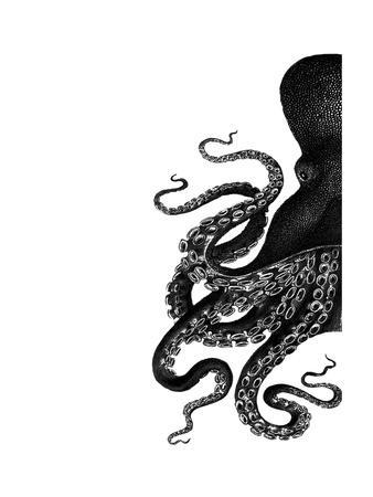 black and grey mood octopus