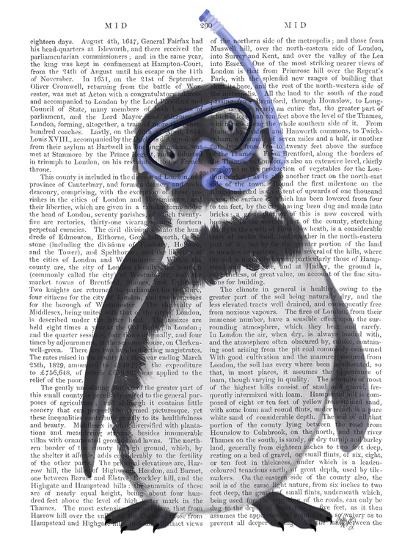 Art Print, , large