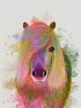 Pony 1 Portrait Rainbow Splash-Fab Funky-Art Print