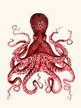 Octopus Print Blue on Cream b-Fab Funky-Art Print