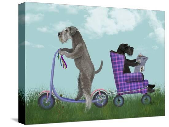 Stretched Canvas Print, , large