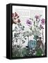 Canvas Black