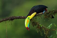 The Colors of Costa Rica-Fabio Ferretto-Mounted Photographic Print