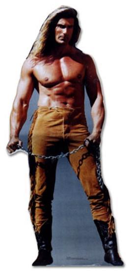 Cardboard Cutouts, , large