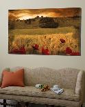 Giardino Sole-Fabio Panichi-Mounted Photographic Print