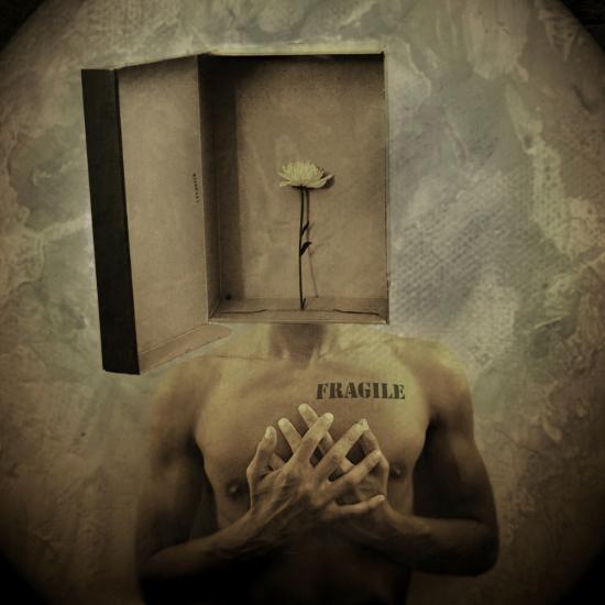 Photographic Print, , large