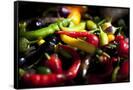 Canvas Black