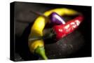 Stretched Canvas