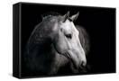 Canvas Black