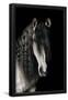 Essential Black
