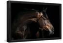 Essential Black