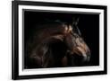 Gramercy Black