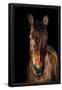 Essential Black