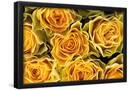 Essential Black