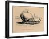 'Fabius, the slow coach', 1852-John Leech-Framed Giclee Print