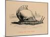 'Fabius, the slow coach', 1852-John Leech-Mounted Giclee Print